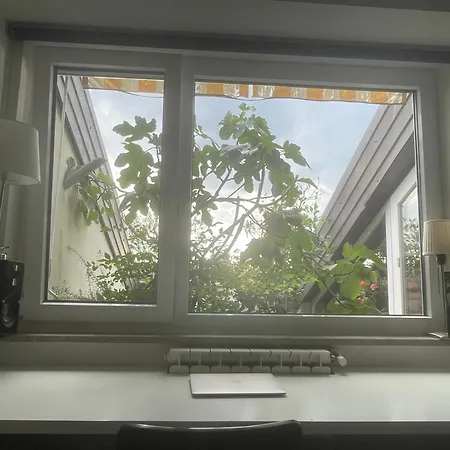 Panzió Piccola In Condiviso Con Terrazza Vista Mare, Shared *