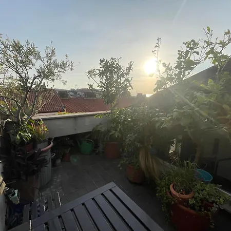 Piccola In Condiviso Con Terrazza Vista Mare, Shared Trieszt